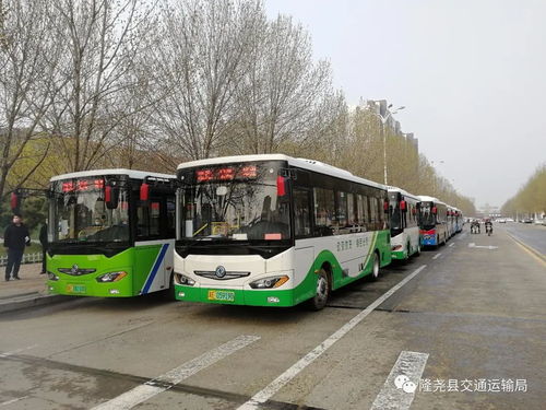 我縣道路旅客運輸基本恢復運行 道路旅客運輸站經營穩(wěn)步推進